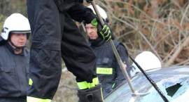 zdjęcie nr 16