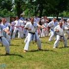 Fotka nr 1 z 16