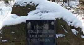 zdjęcie nr 8