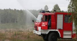 zdjęcie nr 8