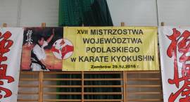 zdjęcie nr 25