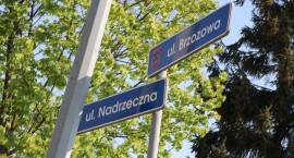 zdjęcie nr 11