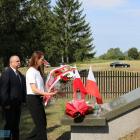 zdjęcie nr 31