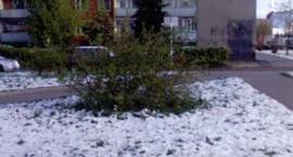 Skutki ataku zimy w Zambrowie w dn. 4 maja 2011 r.