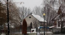 zdjęcie nr 15