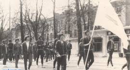 zdjęcie nr 73