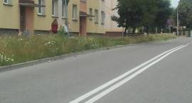 zdjęcie nr 20