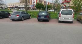 zdjęcie nr 14