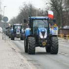 zdjęcie nr 65