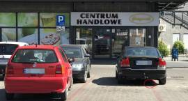 zdjęcie nr 8