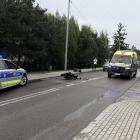 Fotka nr 1 z 8