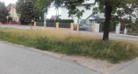 zdjęcie nr 14