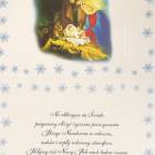 zdjęcie nr 14