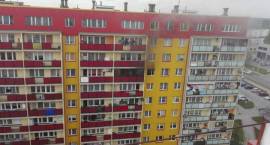 zdjęcie nr 10