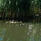 zdjęcie nr 11