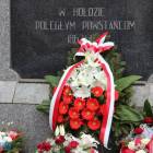 zdjęcie nr 15
