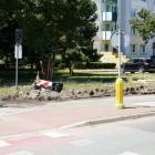 zdjęcie nr 40
