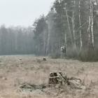 zdjęcie nr 8