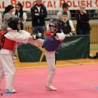 Fotka nr 4 z 42