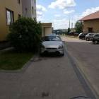 zdjęcie nr 14