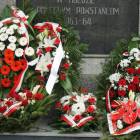 zdjęcie nr 31