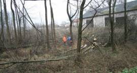 zdjęcie nr 9