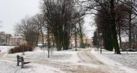 zdjęcie nr 24