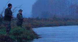 Zawody spinningowe na rzece Narew
