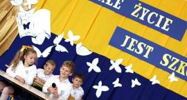 zdjęcie nr 11