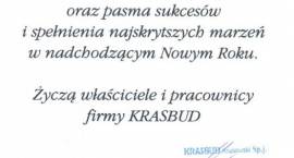 zdjęcie nr 11