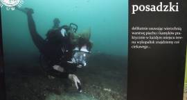 Wystawa fotografii 