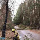 zdjęcie nr 22