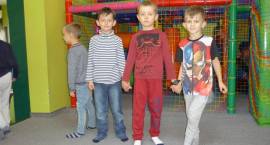 zdjęcie nr 14