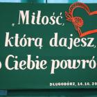 zdjęcie nr 