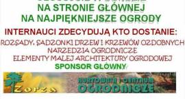 Fotka nr 0 z 31