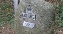 zdjęcie nr 34