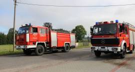 zdjęcie nr 52