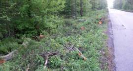 Rozpoczęły się prace przy budowie drogi nr 66, 15 km od Zambrowa - 17.05.2008 r. /Fot....