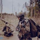 Fotka nr 4 z 13