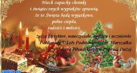 zdjęcie nr 17