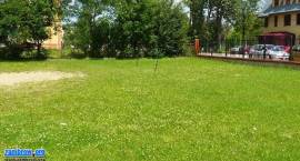 zdjęcie nr 8