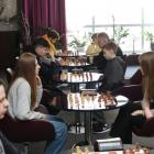 zdjęcie nr 19