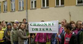 Święto Drzewa w Czwórce/Fot. E.Hryńko