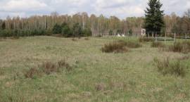 zdjęcie nr 16