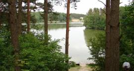 zdjęcie nr 14