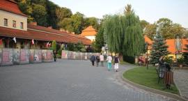 zdjęcie nr 11