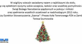 zdjęcie nr 15
