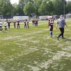 Fotka nr 3 z 19