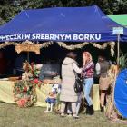 zdjęcie nr 7