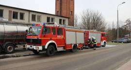 zdjęcie nr 9